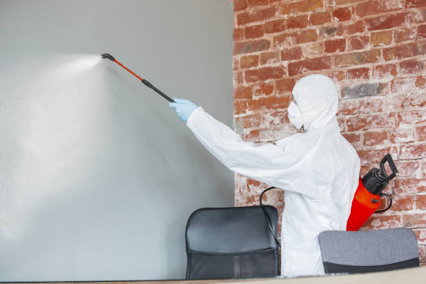 Best Real Estate Mold Inspection  in Chapman, KS