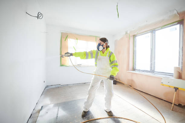 Best Crawl Space Mold Remediation  in Chapman, KS
