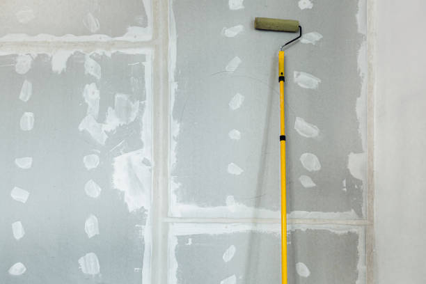 Best Air Quality Testing for Mold Spores  in Chapman, KS