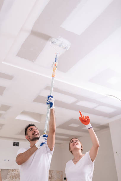 Best Mold Damage Restoration  in Chapman, KS