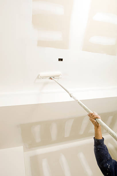 Reliable Chapman, KS Mold Removal Solutions
