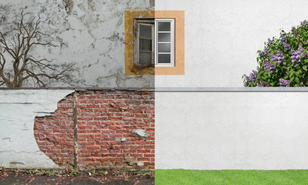 Best Mold Prevention Services  in Chapman, KS