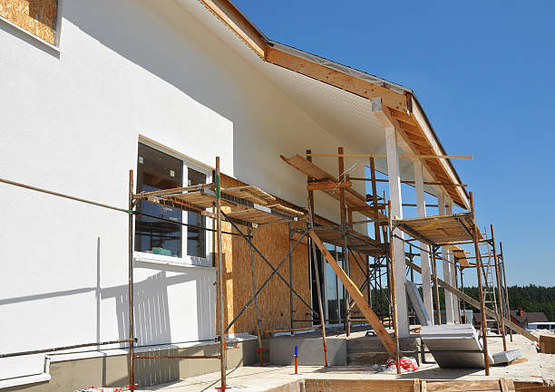 Best Industrial Mold Remediation  in Chapman, KS