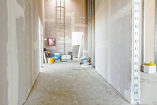 Best Mold Remediation for Vacation Homes  in Chapman, KS