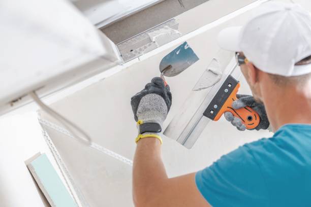Best Commercial Mold Inspection  in Chapman, KS